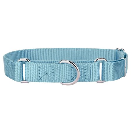 MIRAGE PET PRODUCTS Plain Nylon Martingale Dog CollarExtra Large Ocean Blue 124-1M OBXL